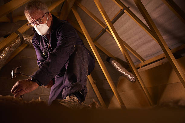 Best Insulation Replacement Services  in Lawnton, PA